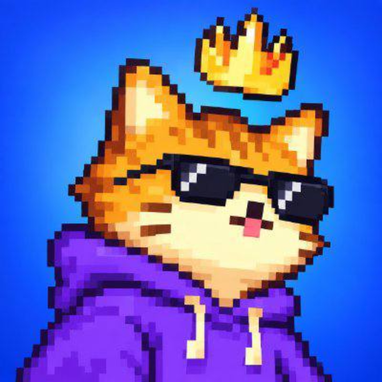 Crowned CoinMarketCat in sunglasses and a purple hoodie